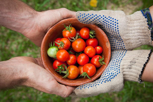 ALIMENTACIÓN Y BEBIDAS