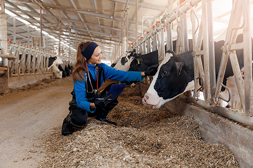 PRODUCTOS VETERINARIOS Y ZOOSANITARIOS