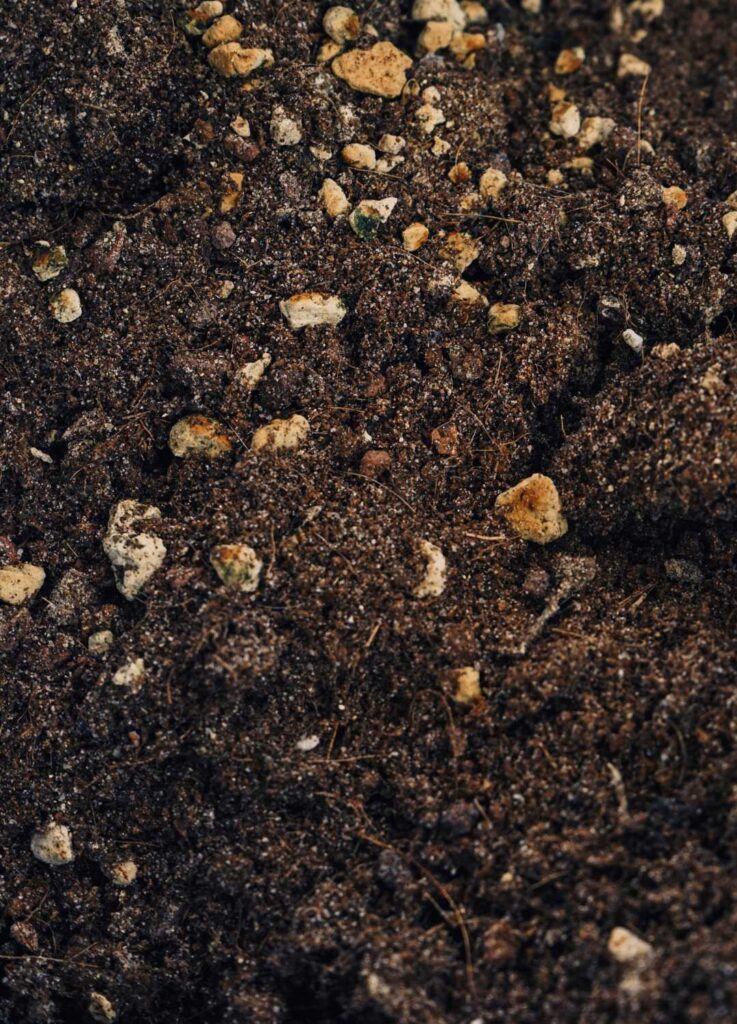 Perlita para sustrato en galicia