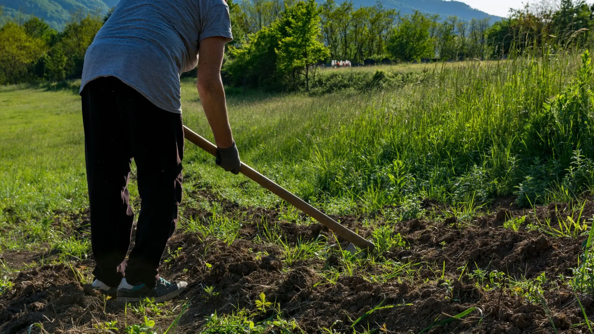 Preparación tierra huerta