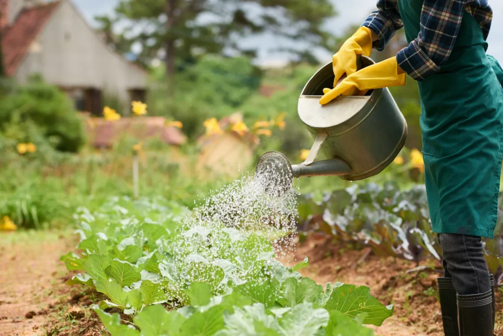 Persona cultivando su propia huerta