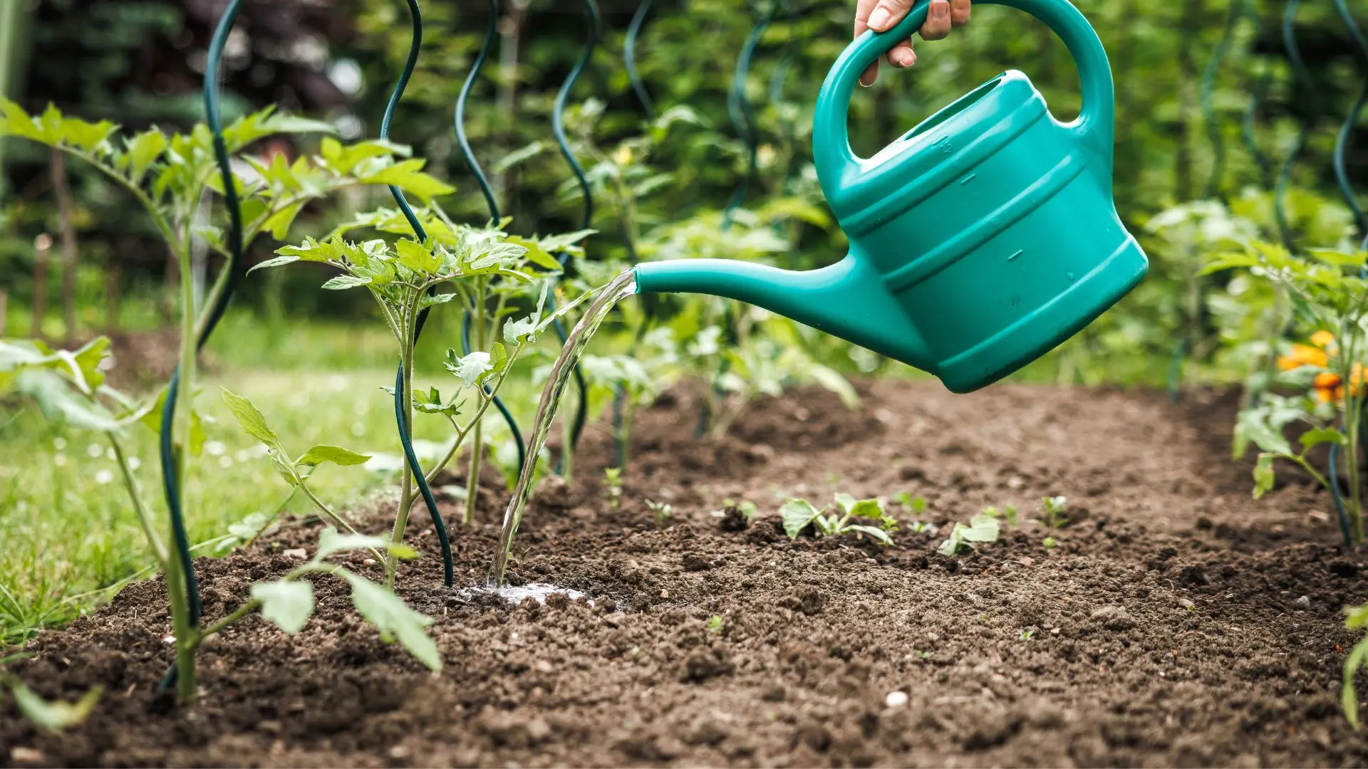 Preparar tierra huerto