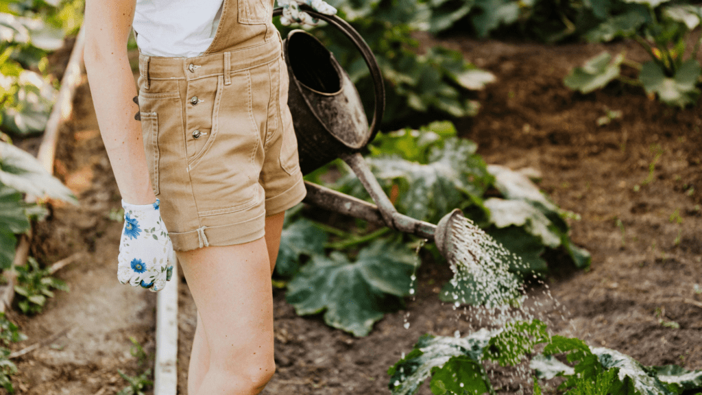 Cómo regar huerta