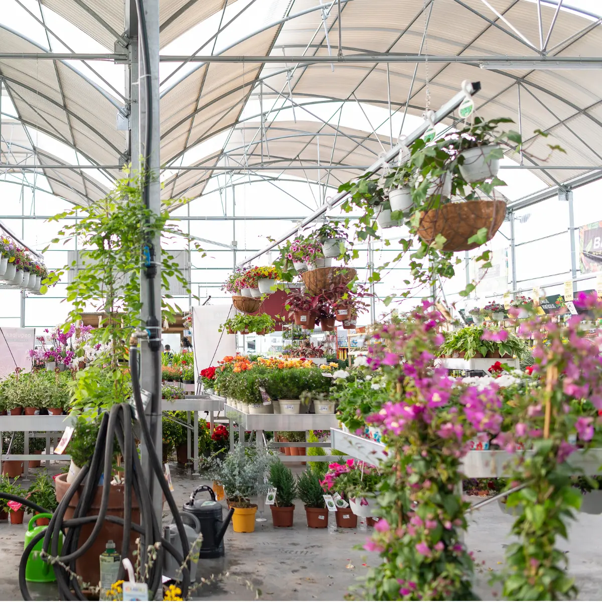comprar flores