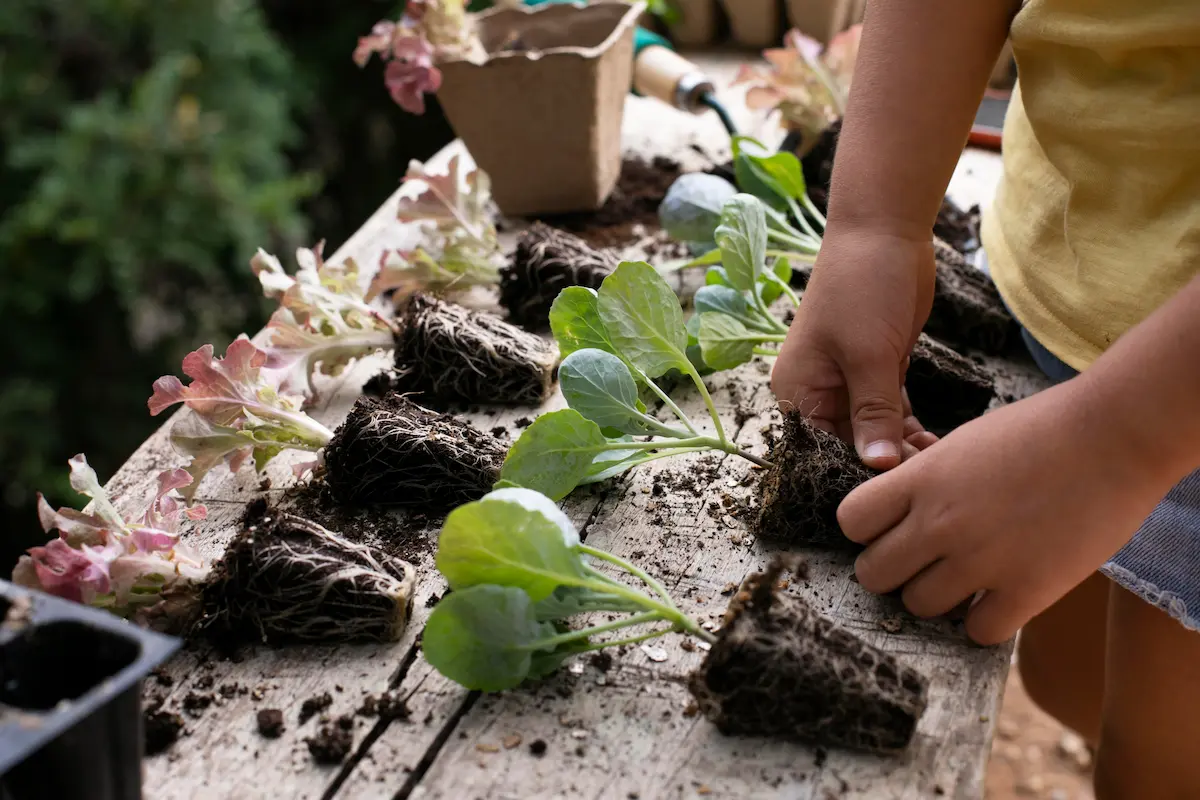 fichas de cultivo