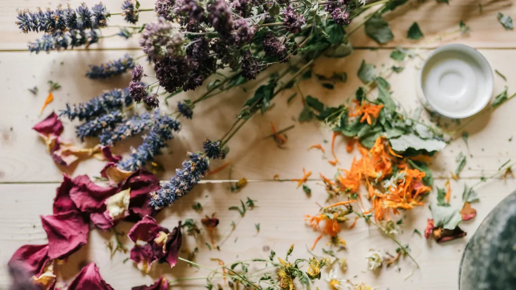 mejores-plantas-medicinales