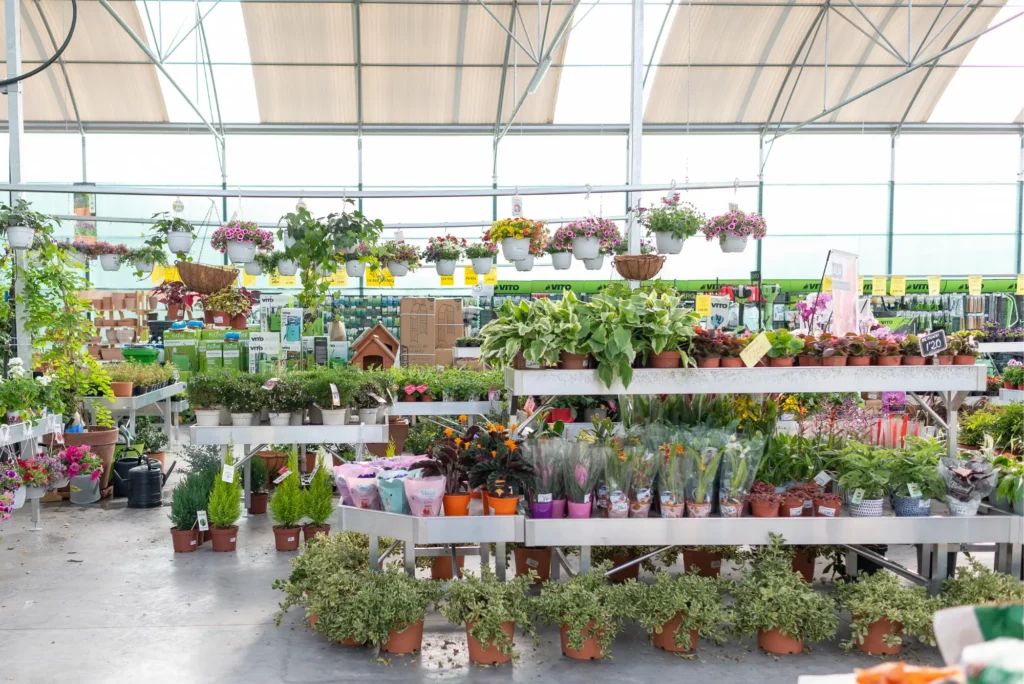 plantas ornamentales de primavera