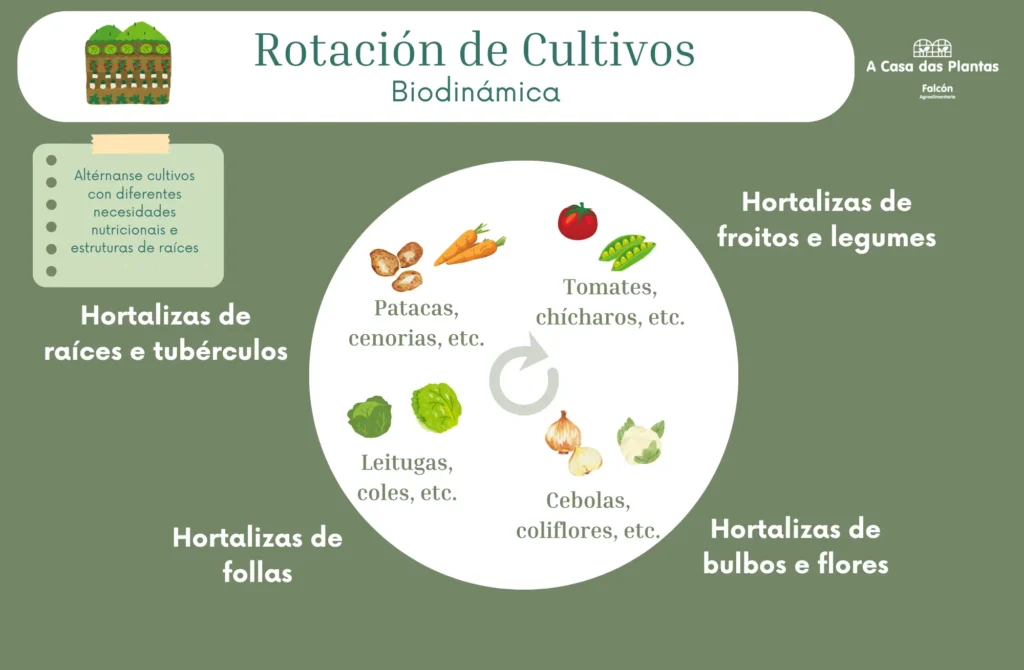 Rotación de cultivos en la huerta