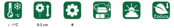 ficha-cuidados-deladera-digitalis