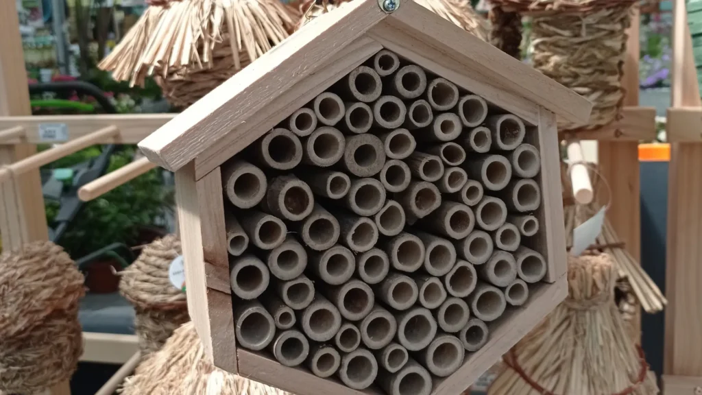 casa-abejas