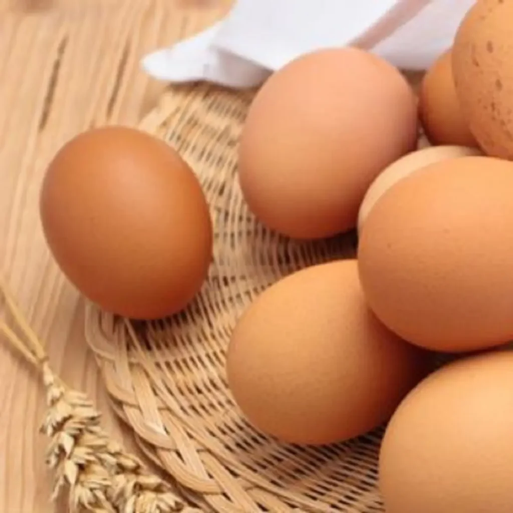 huevos-gallina-sussex