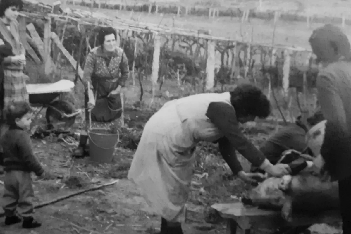 comprar productos matanza lugo