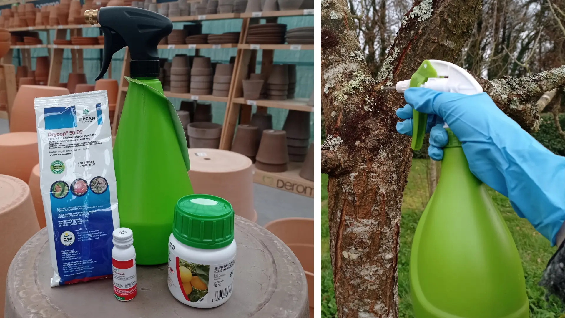 comprar tratamiento invierno en lugo