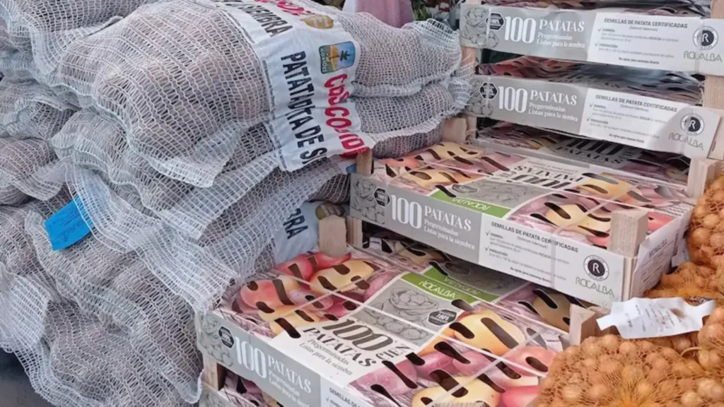 comprar patata siembra lugo