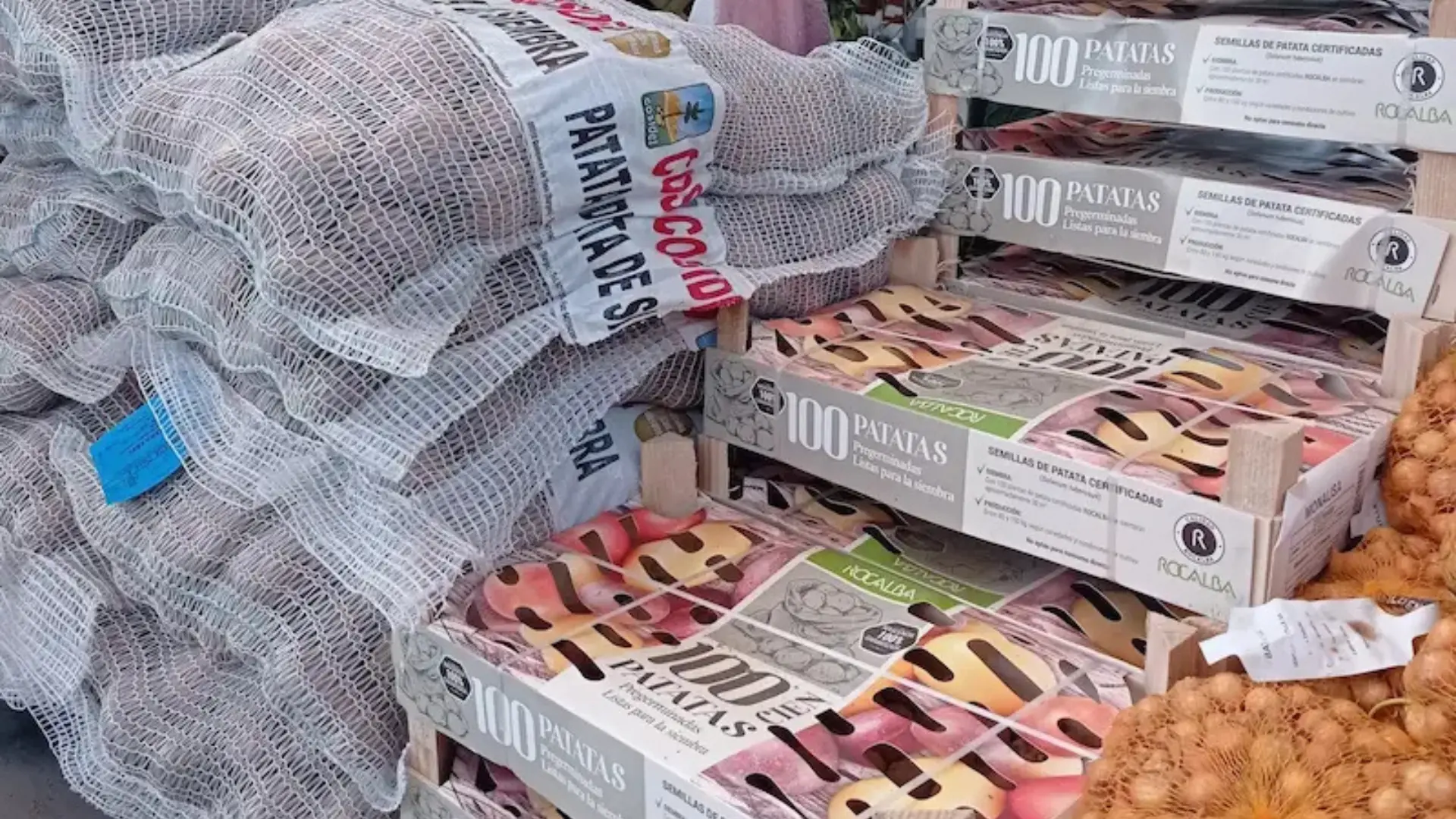 comprar patata siembra lugo